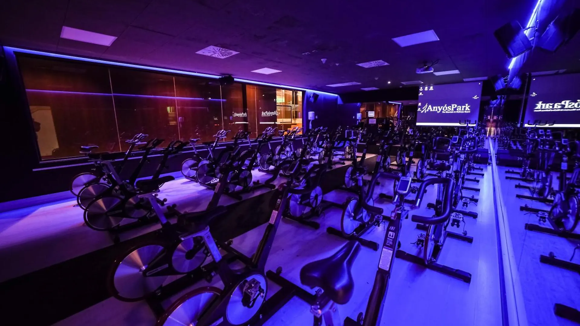 Hotel Anyospark Mountain & Wellness Resort 4*, Anyos Andorra